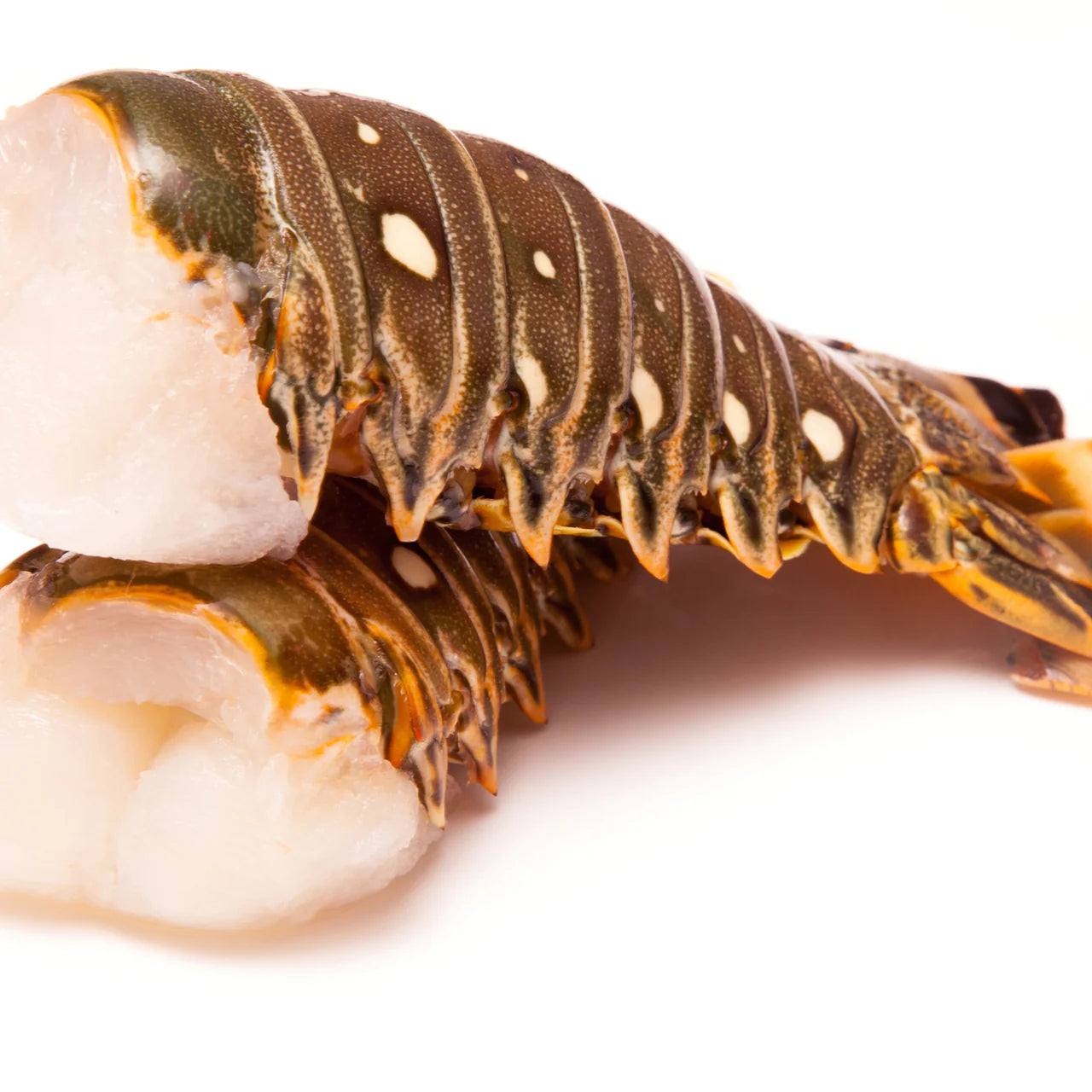 Spiny Lobster tails